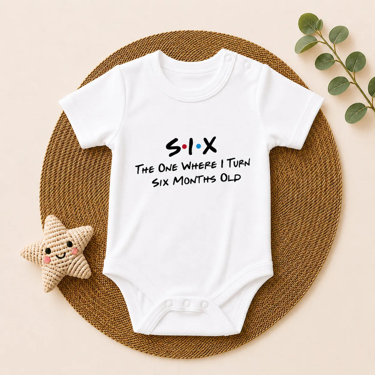 12-Piece Baby Milestone Romper Set(1 Months to 1 Year)