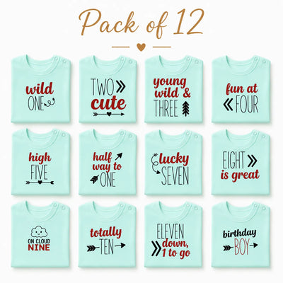 12-Piece Baby Milestone Romper Set